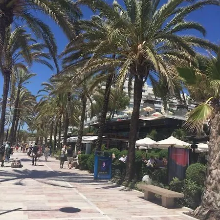 Lovely Next To The - Location